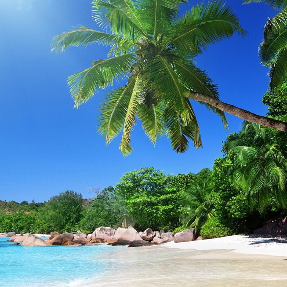 Meet your Posher, Amelia